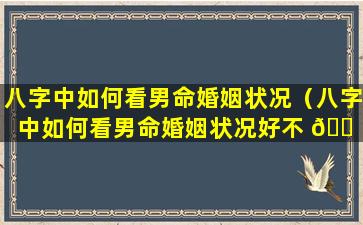 八字中如何看男命婚姻状况（八字中如何看男命婚姻状况好不 🐠 好）